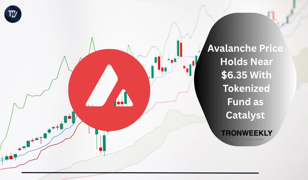 Avalanche trades at $7.29 as Cashlink integration advances institutional tokenization
