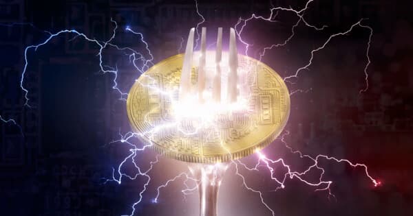 BCH Price Prediction: Bear Trap at $248 or Flush to $237 — Here's the Trade